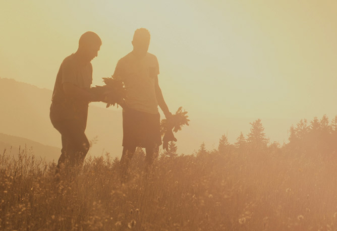 Two people gathering in a field